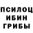 Галлюциногенные грибы Magic Shrooms HomesickVirus3