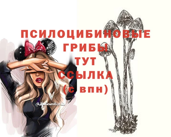 амфетамин Аркадак