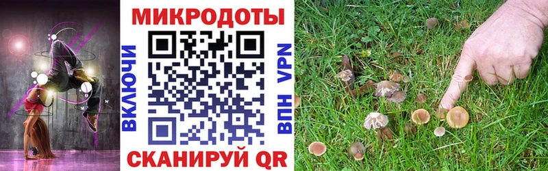 Псилоцибиновые грибы прущие грибы  Рыбное 